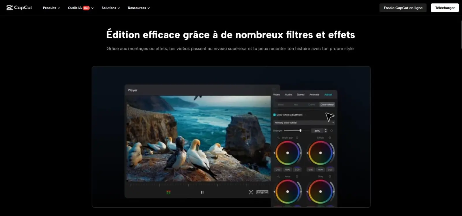 CapCut Interface