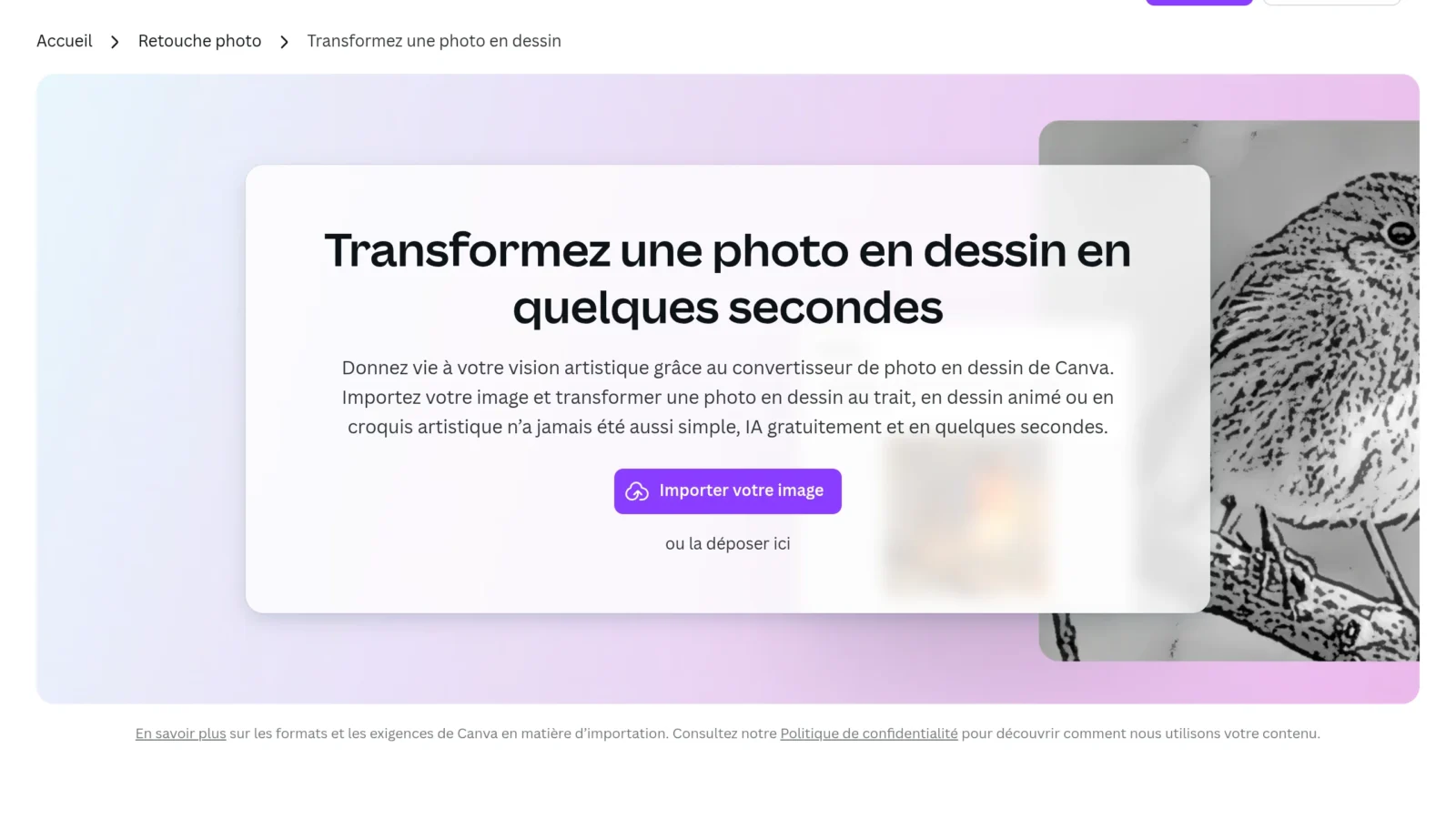 Transformer une photo en dessin avec Canva