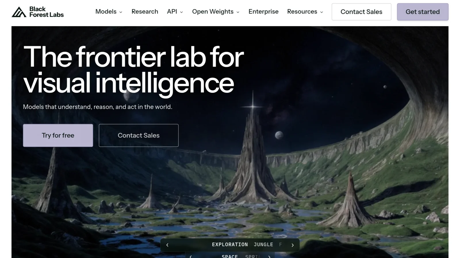 Black Forest Labs Flow, Image Generation Model AI