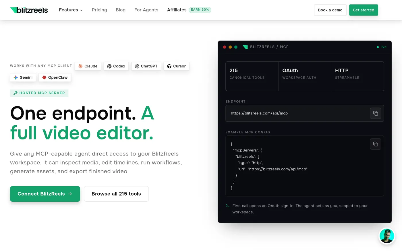 Page du serveur MCP de BlitzReels : 215 outils, authentification OAuth, point d'accès HTTP et exemple de configuration